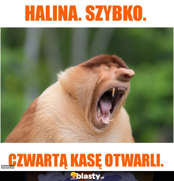 Halina. Szybko.