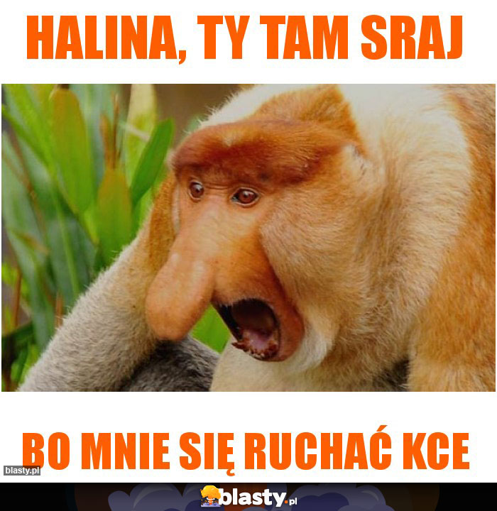 Halina, ty tam sraj