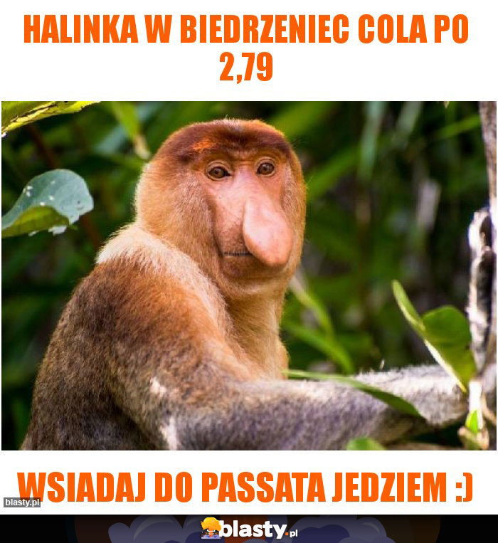 Halinka w biedrzeniec cola po 2,79