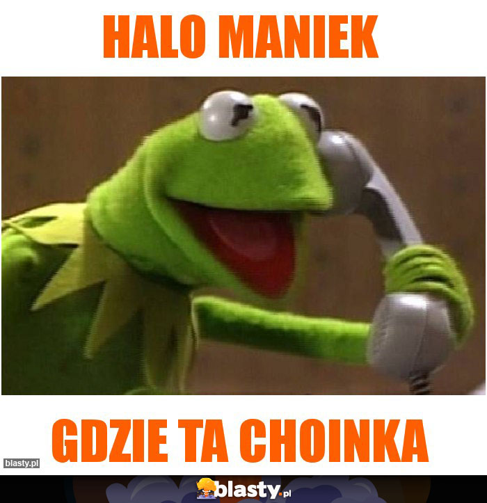 Halo maniek