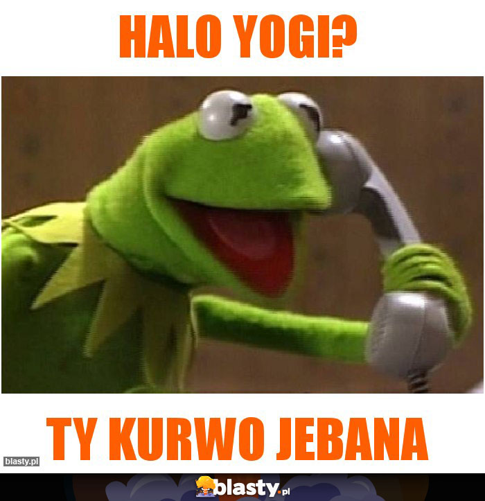 halo yogi?