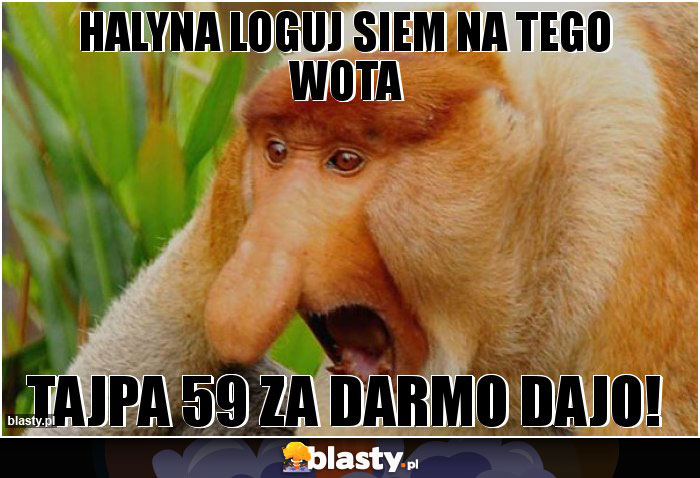 HALYNA LOGUJ SIEM NA TEGO WOTA