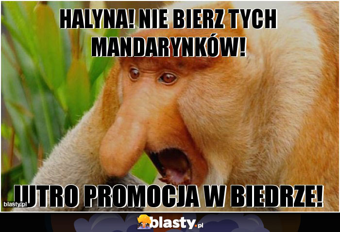 Halyna! Nie bierz tych mandarynków!