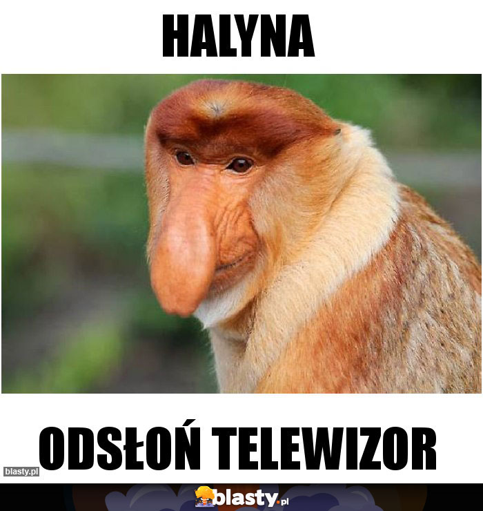 HALYNA