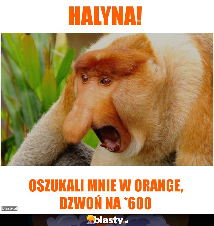 HAlyna!