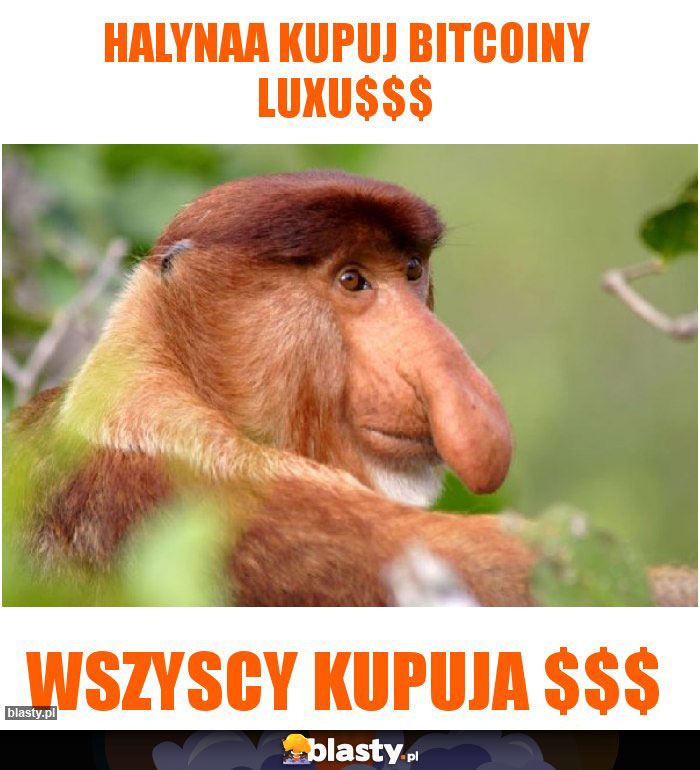 Halynaa Kupuj BITCoiny LUXU$$$