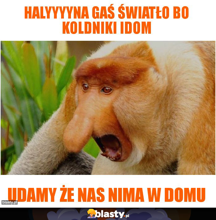 Halyyyyna gaś światło bo koldniki idom