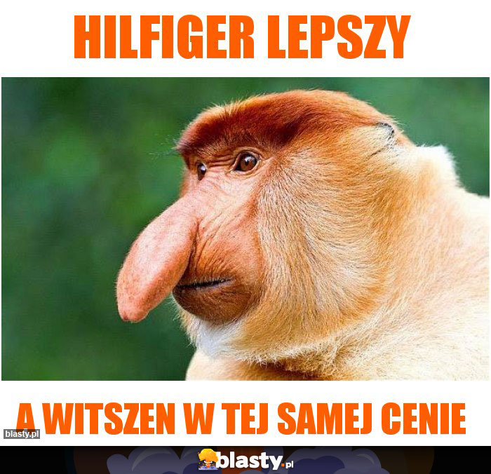 Hilfiger lepszy