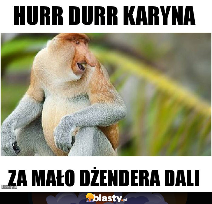 HURR DURR KARYNA