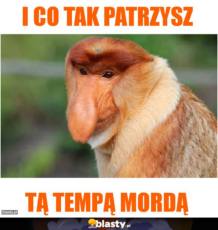 I co tak patrzysz
