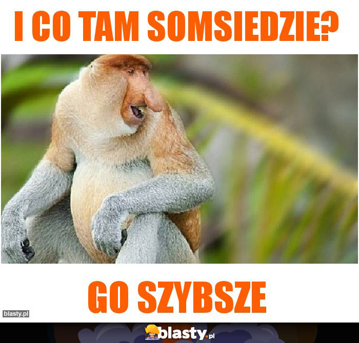 I co tam somsiedzie?