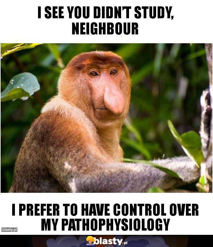 I see you didn’t study, neighbour