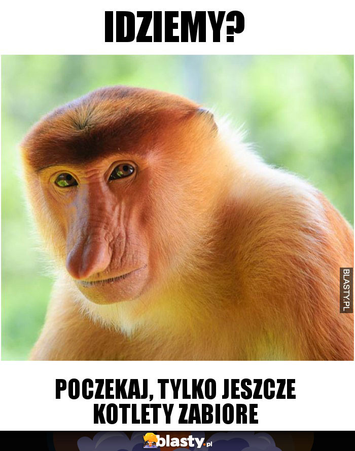 Idziemy?