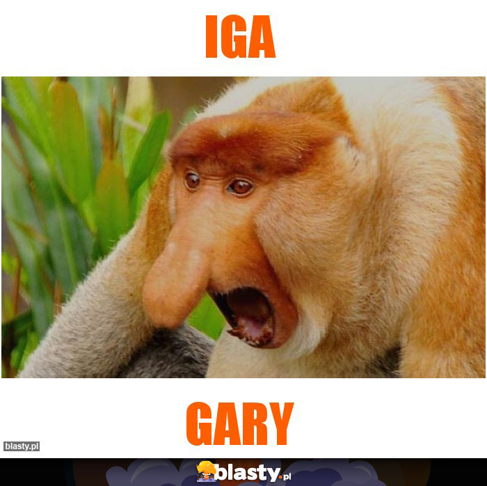 IGA