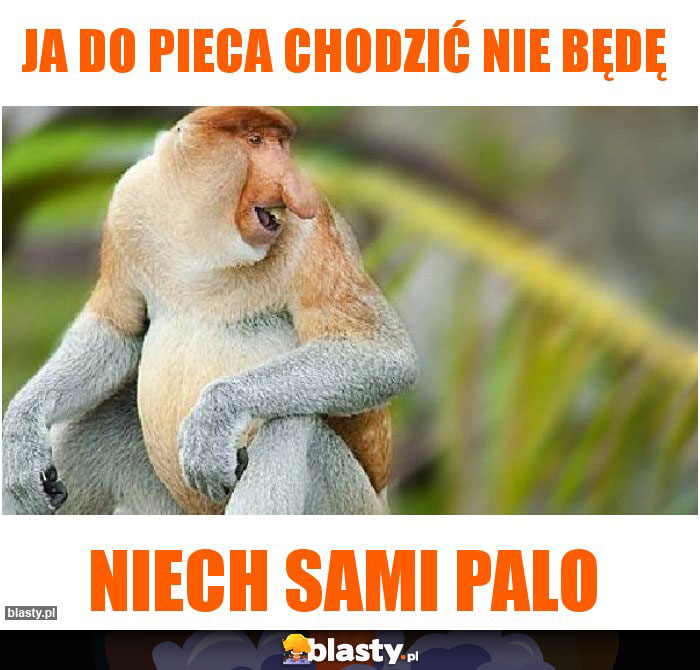 Ja do pieca chodzić nie będę