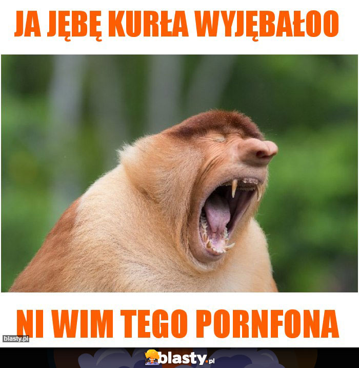 ja jębę kurła wyjębałoo
