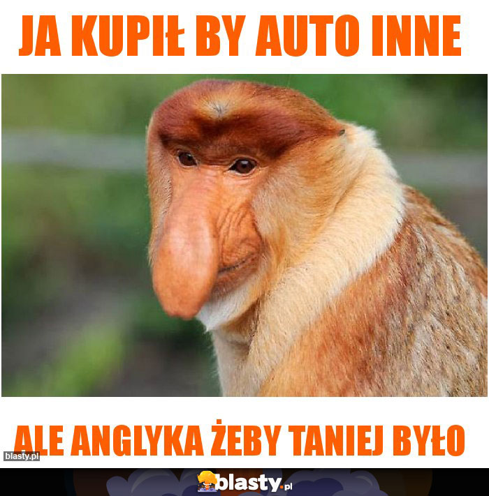 Ja kupił by auto inne