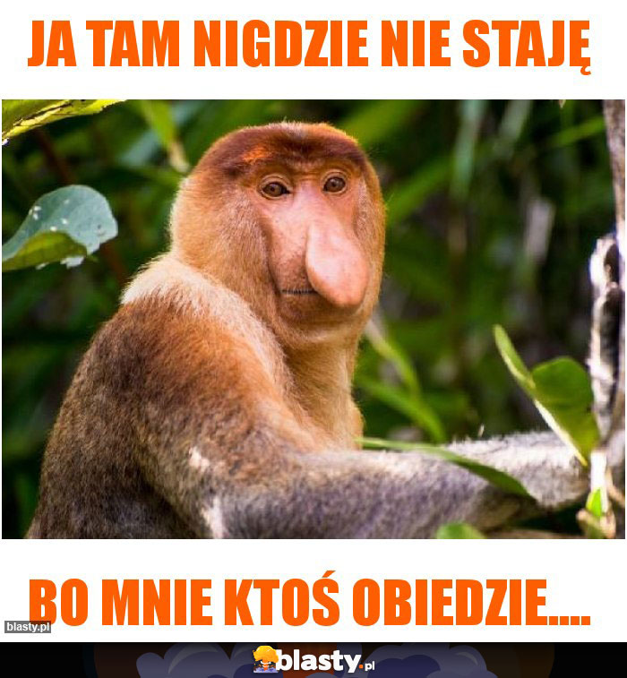 Ja tam nigdzie nie staję