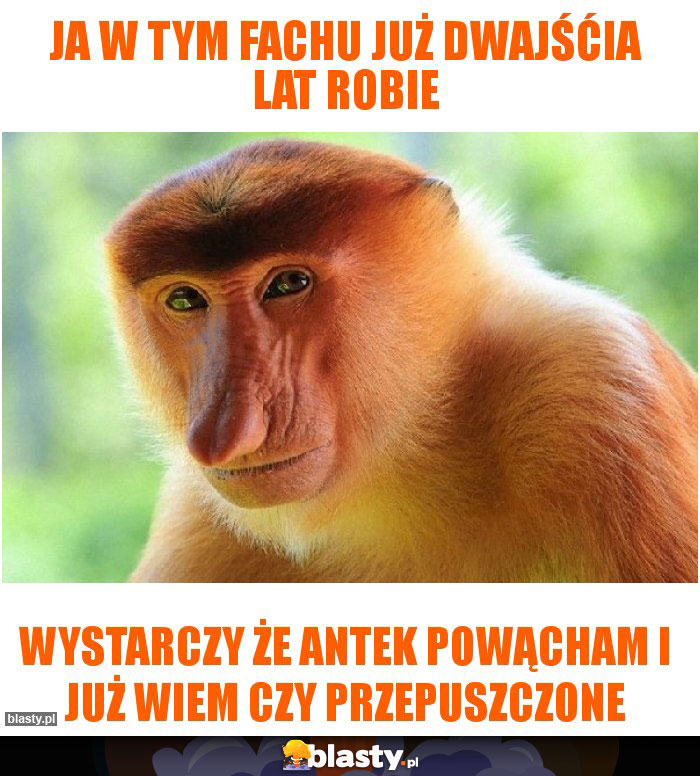 Ja w tym fachu już dwajśćia lat robie