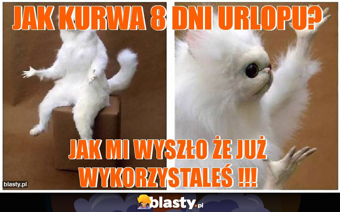 Jak kurwa 8 dni urlopu?
