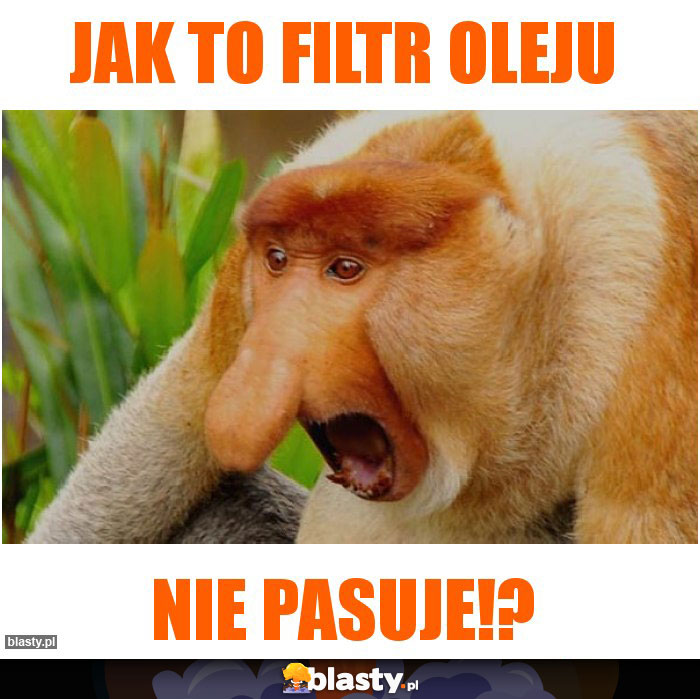 Jak to filtr oleju