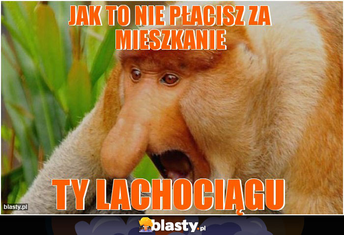JAK TO NIE PŁACISZ ZA MIESZKANIE