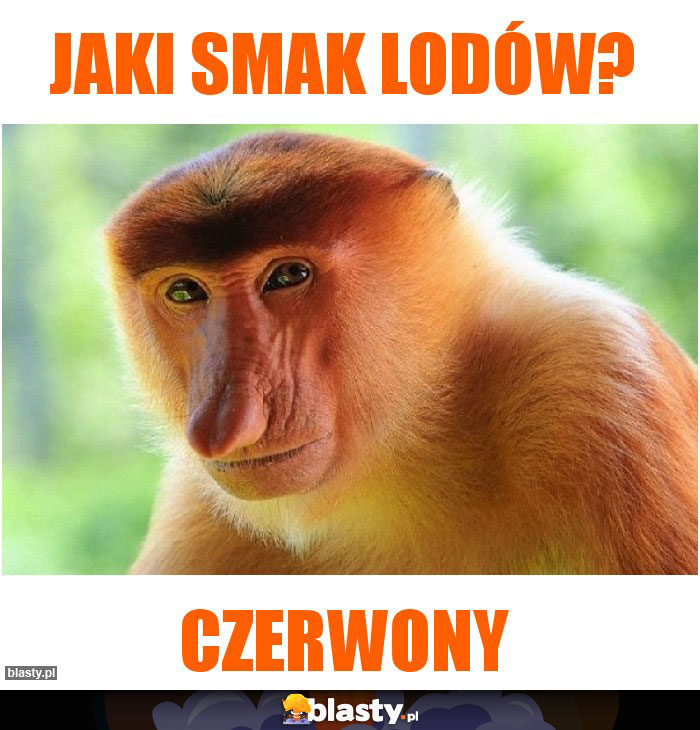 jaki smak lodów?