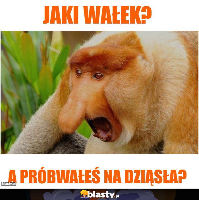 jaki wałek?