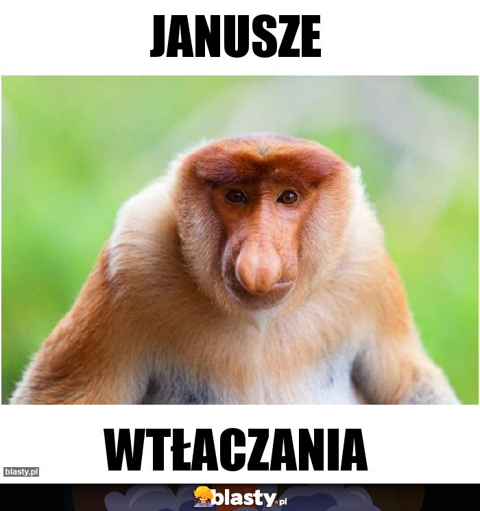 JANUSZE