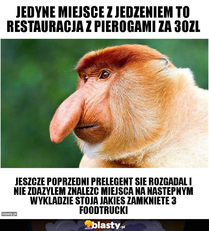 jedyne miejsce z jedzeniem to restauracja z pierogami za 30zl