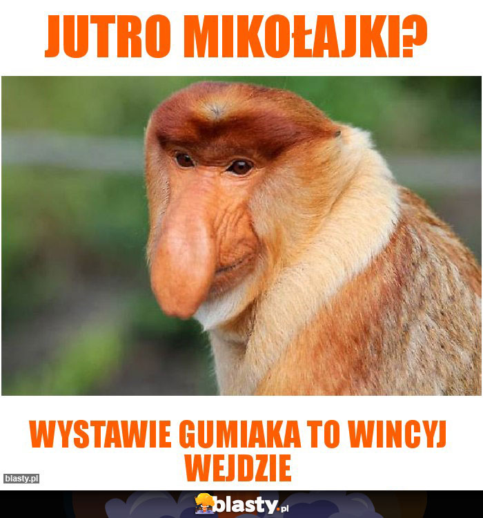 Jutro mikołajki?