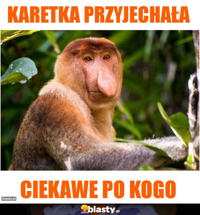 Karetka przyjechała