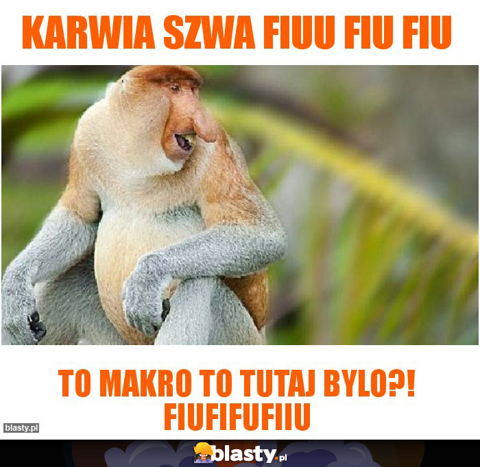Karwia szwa fiuu fiu fiu