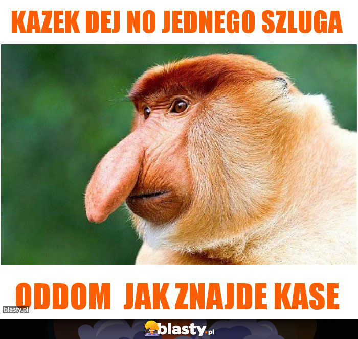 Kazek dej no jednego szluga