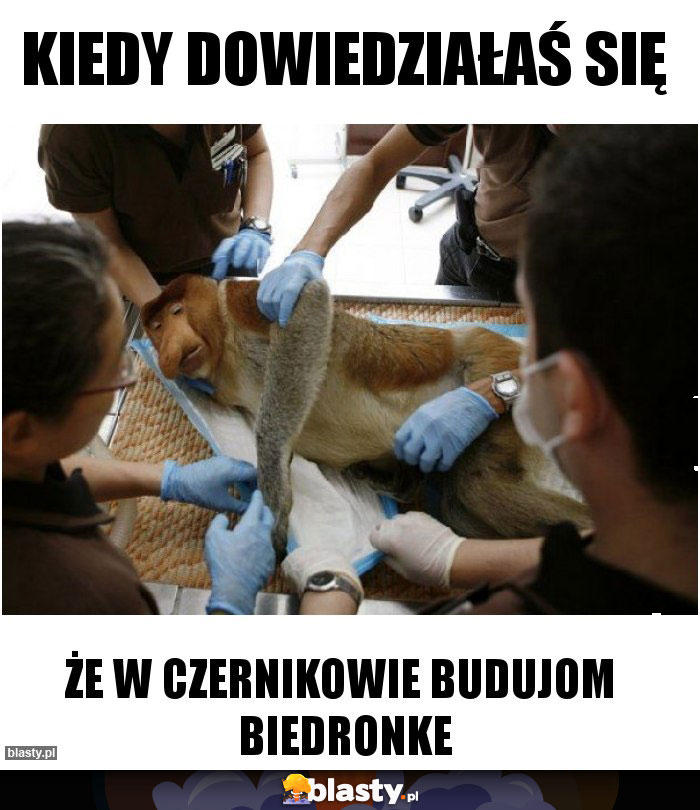 Kiedy dowiedziałaś się