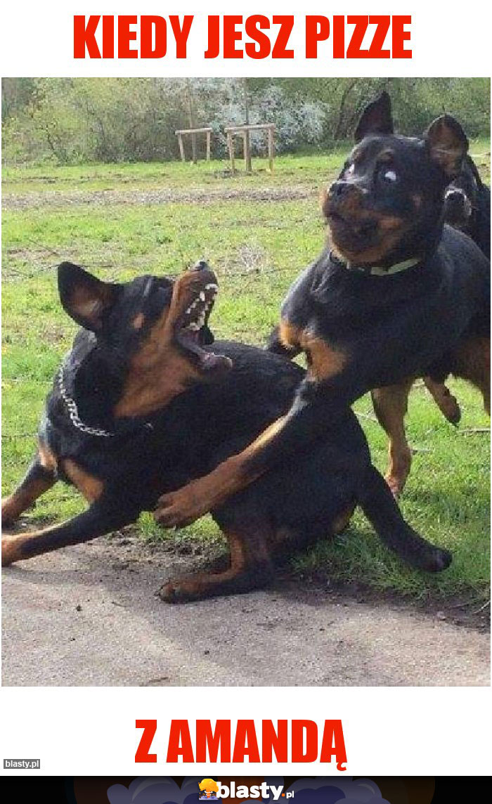 Kiedy jesz pizze