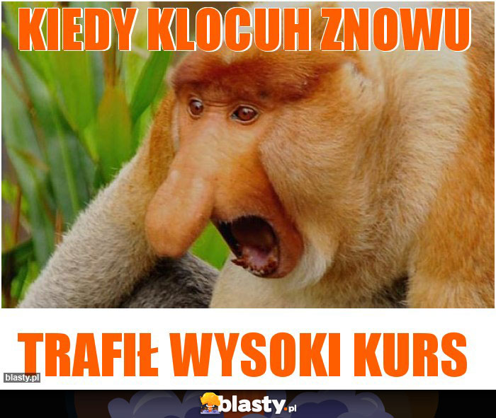 KIEDY KLOCUH ZNOWU