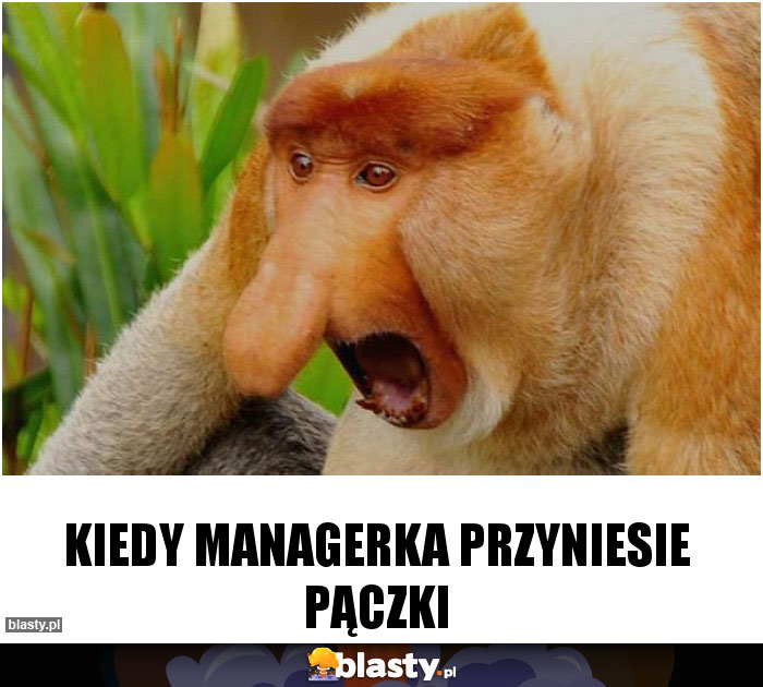 Kiedy managerka przyniesie pączki