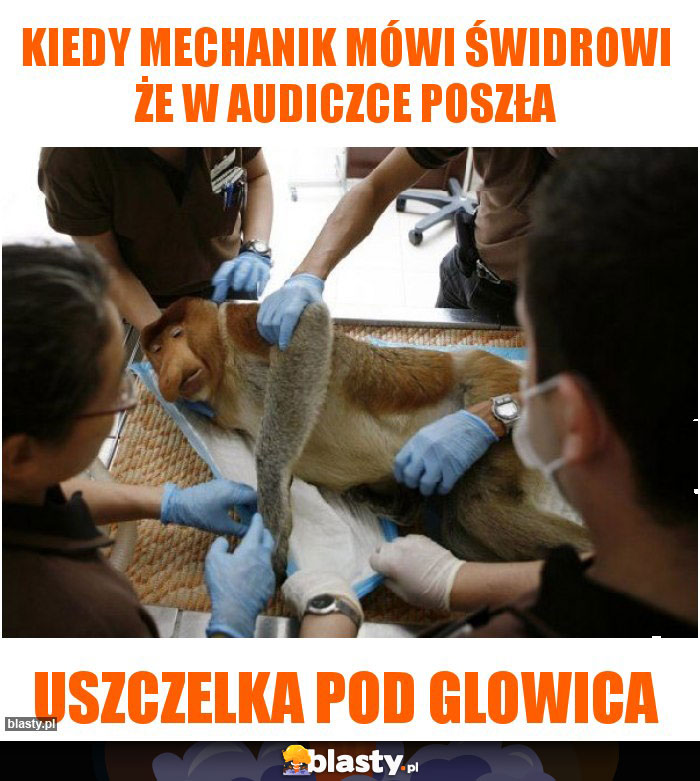 Kiedy mechanik mówi świdrowi że w audiczce poszła
