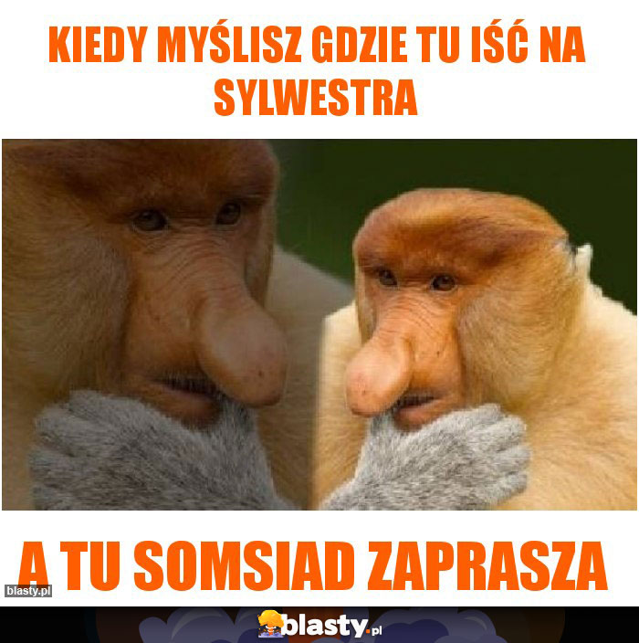 Kiedy myślisz gdzie tu iść na sylwestra