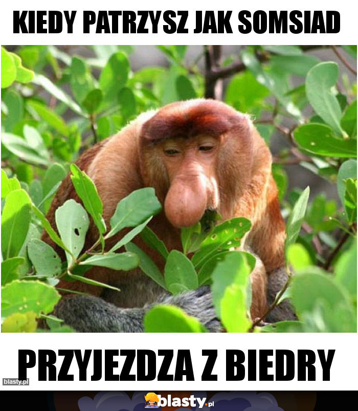 Kiedy patrzysz jak somsiad