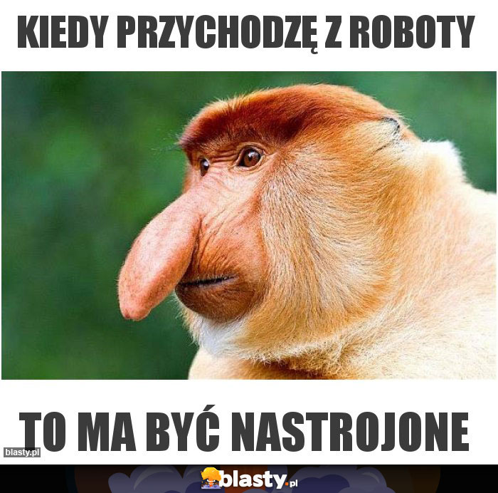 Kiedy przychodzę z roboty
