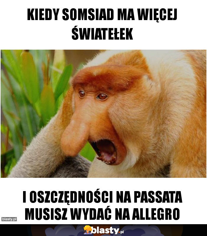 Kiedy somsiad ma więcej światełek