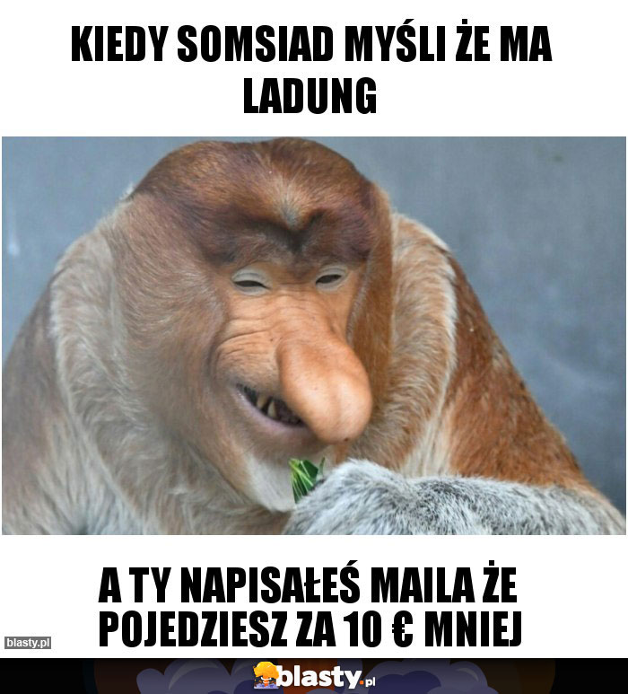 Kiedy somsiad myśli że ma ladung
