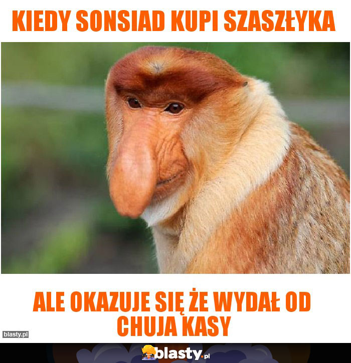 kiedy sonsiad kupi szaszłyka
