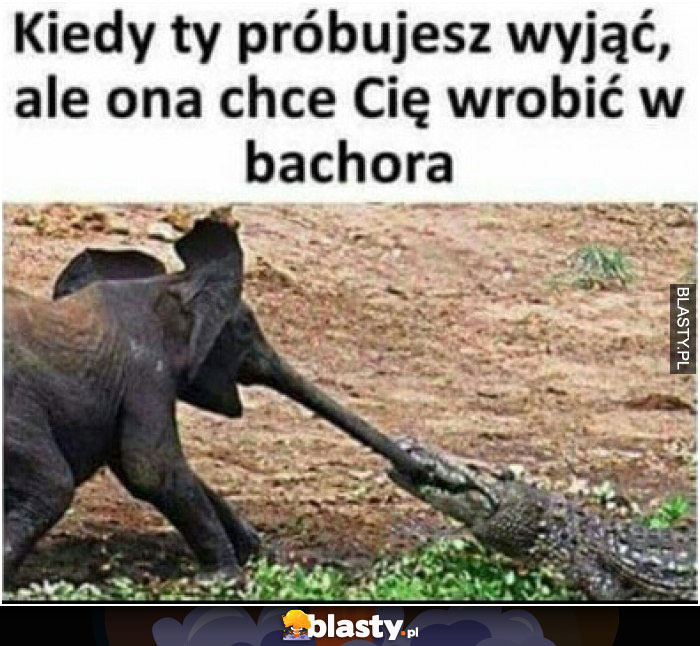 Kiedy Ty próbujesz wyjąć