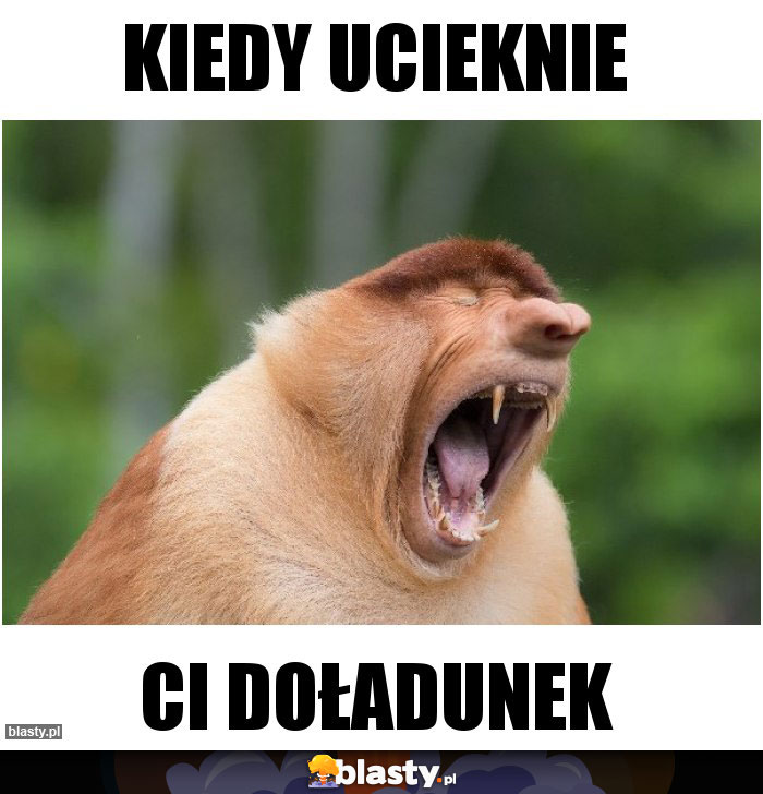 kiedy ucieknie