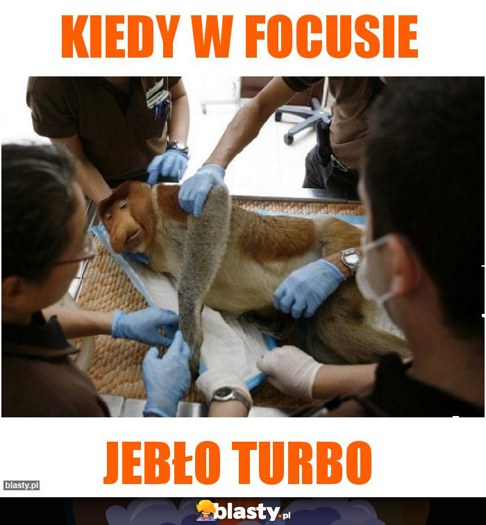 Kiedy w Focusie