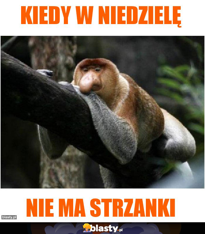 Kiedy w niedzielę