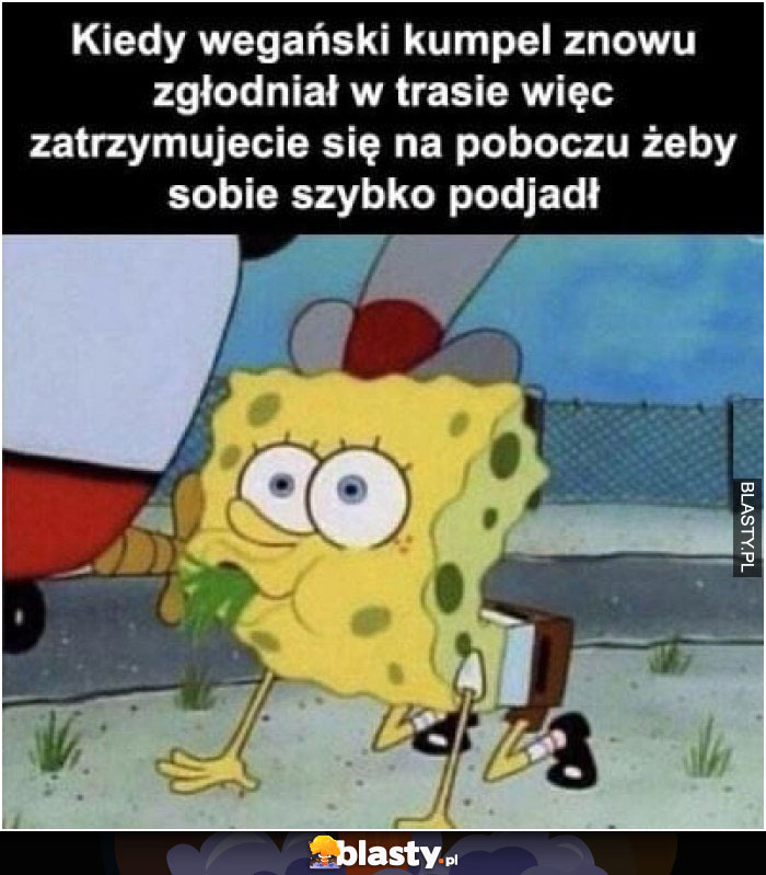 Kiedy wegański kumpel znowu zgłodniał